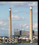 Fossil